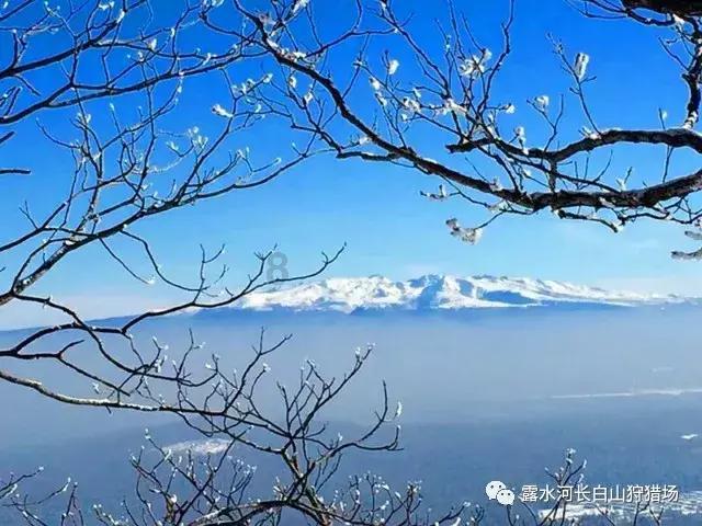 华天科技(002185.SZ):2023年度净利润预降62.86%-73.47%